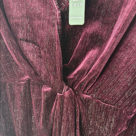 Elegant Burgundy Velvet Dress - Picture 3 of 7